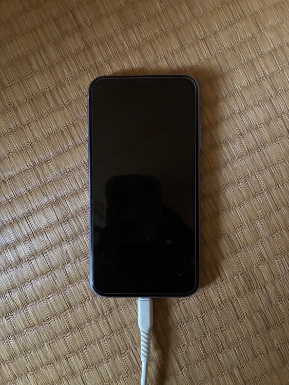 iPhone iPhone11 64GB SIMフリー（スマホ）の商品画像 - 査定依頼日：2026年8月10日 - 最高査定価格：20,000円