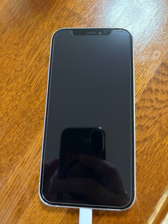 iPhone iPhone 12 Pro 256GB au（スマホ）の商品画像 - 査定依頼日：2026年5月26日 - 最高査定価格：31,000円