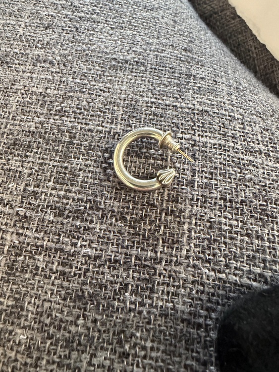 プレーンフープピアス（古着・ファッション）の商品画像 - 査定依頼日：2025年12月20日 - 最高査定価格：50,000円