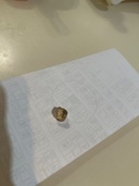 金歯（金・貴金属）の商品画像 - 査定依頼日：2026年8月16日 - 最高査定価格：30,000円