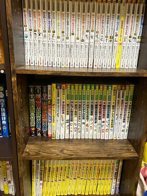 サバイバル（古本）の商品画像 - 査定依頼日：2025年3月21日 - 最高査定価格：100円