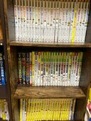 サバイバル（古本）の商品画像 - 査定依頼日：2025年3月21日 - 最高査定価格：100円