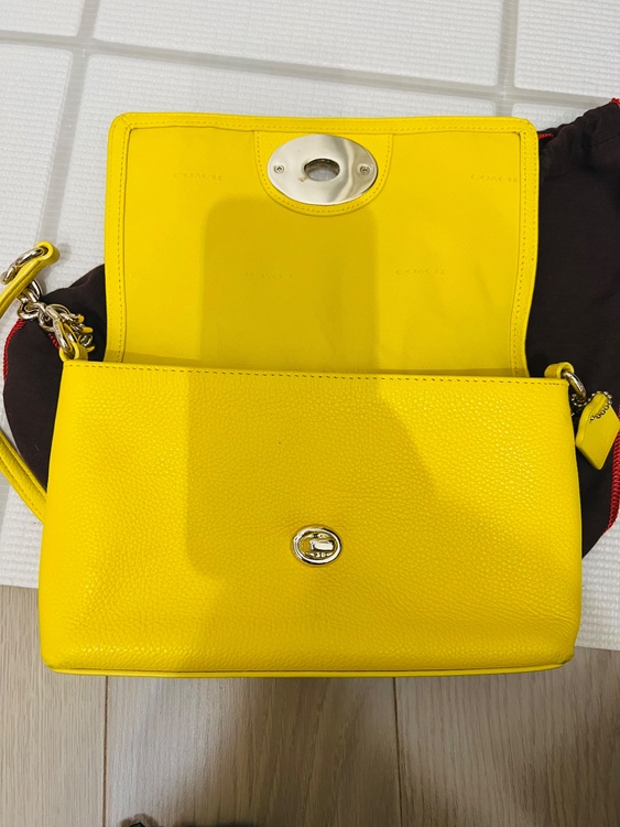 コーチ（COACH） クロスボディ ポーチ ポリッシュド ペブル レザー（型番：（ブランドバッグ）の商品画像 - 査定依頼日：2026年5月5日 - 最高査定価格：2,500円
