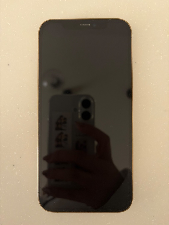 iPhone 12 Pro 128GB SIMフリー（スマホ）の商品画像 - 査定依頼日：2026年3月12日 - 最高査定価格：32,000円