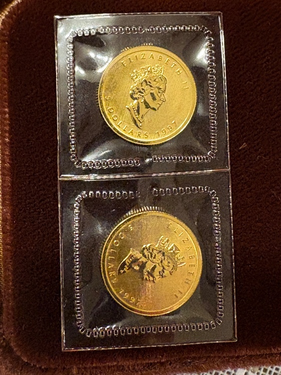 カナダ　メイプル金貨　1/10オンス　1991年（金・貴金属）の商品画像 - 査定依頼日：2025年12月23日 - 最高査定価格：150,000円