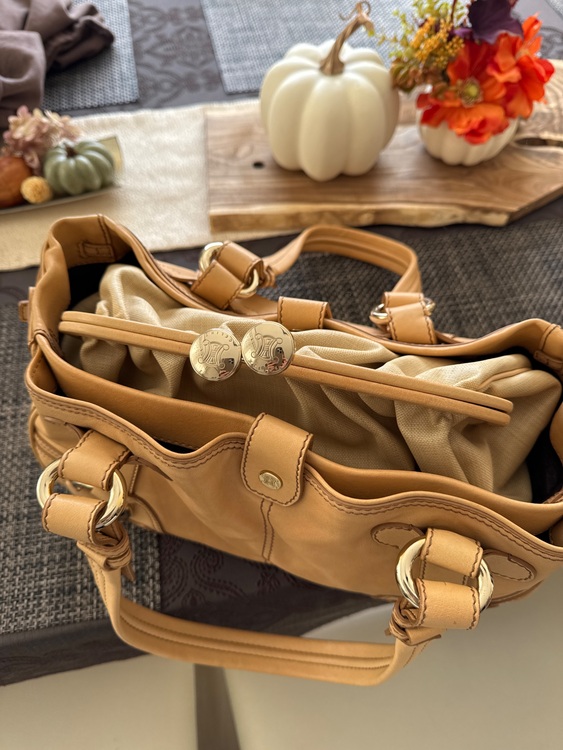 セリーヌ  （ブランドバッグ）の商品画像 - 査定依頼日：2025年10月30日 - 最高査定価格：25,000円