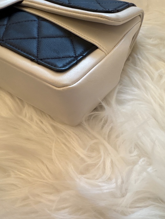 バイカラー（ブランドバッグ）の商品画像 - 査定依頼日：2026年3月6日 - 最高査定価格：350,000円