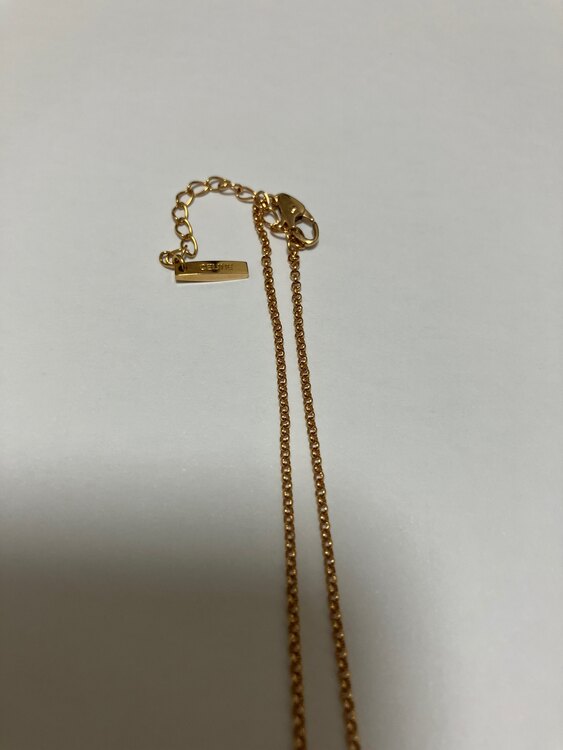 セリーヌジュエリー（金・貴金属）の商品画像 - 査定依頼日：2024年1月19日 - 最高査定価格：53,000円