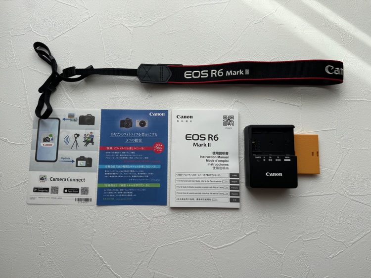 eos r6 mark II（カメラ）の商品画像 - 査定依頼日：2025年9月30日 - 最高査定価格：210,000円