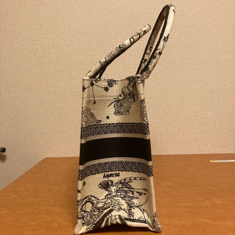 ディオール  （ブランドバッグ）の商品画像 - 査定依頼日：2026年1月9日 - 最高査定価格：100,000円