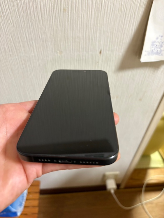 iPhone 15 Pro Max 256GB SIMフリー（スマホ）の商品画像 - 査定依頼日：2025年11月8日 - 最高査定価格：113,000円