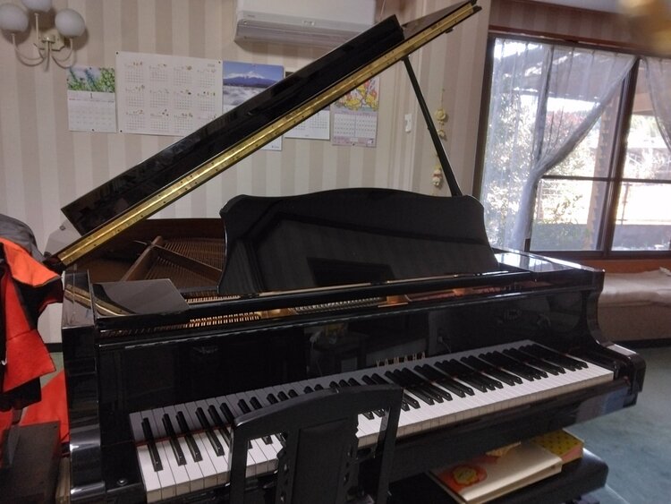 C1L 5911342（ピアノ・楽器・PA機材）の商品画像 - 査定依頼日：2026年1月28日 - 最高査定価格：50,000円