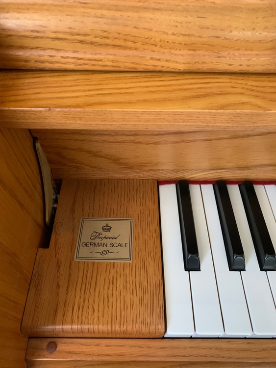 Kohler & Campbell  KC-043（ピアノ・楽器・PA機材）の商品画像 - 査定依頼日：2026年5月3日 - 最高査定価格：50,000円