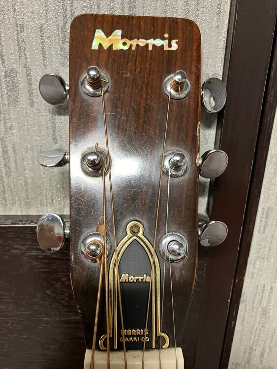 Morris W-20 アコースティックギター（ピアノ・楽器・PA機材）の商品画像 - 査定依頼日：2024年11月15日