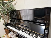 U3 H 1798579（ピアノ・楽器・PA機材）の商品画像 - 査定依頼日：2025年10月10日 - 最高査定価格：30,000円