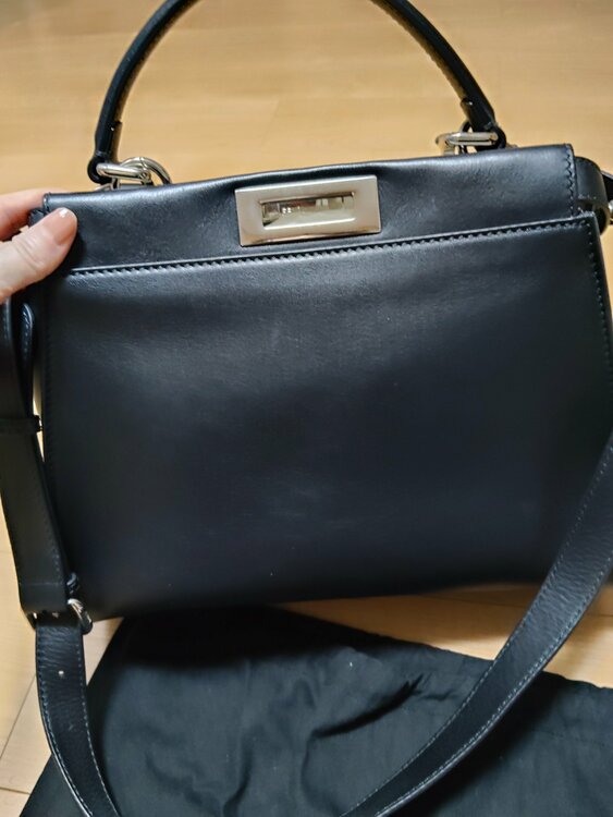 PEEKABOO REGULAR VIT．SETA/PITONE LUC.INT（ブランドバッグ）の商品画像 - 査定依頼日：2026年10月1日 - 最高査定価格：200,000円