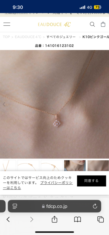 1410161231020000（金・貴金属）の商品画像 - 査定依頼日：2025年4月9日 - 最高査定価格：12,000円