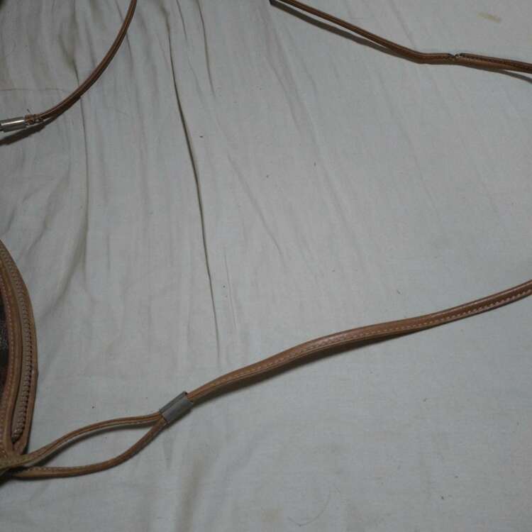 セリーヌ  （ブランドバッグ）の商品画像 - 査定依頼日：2025年1月5日 - 最高査定価格：20,000円