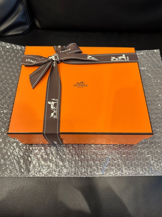 エブリンtpm（ブランドバッグ）の商品画像 - 査定依頼日：2025年7月3日 - 最高査定価格：380,000円