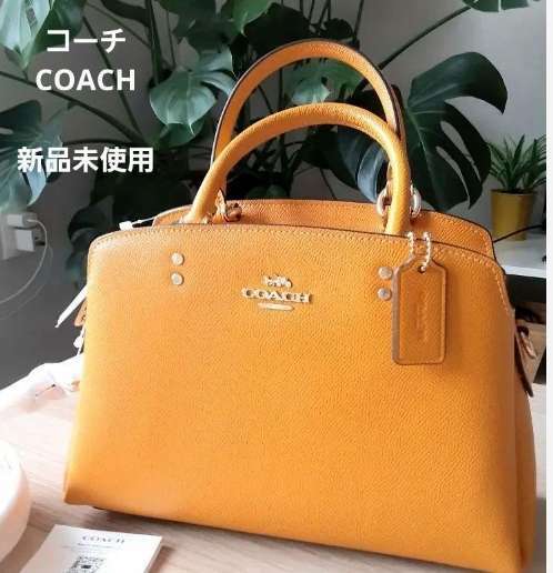 COACH　ハンドバッグ（ブランドバッグ）の商品画像 - 査定依頼日：2025年2月27日 - 最高査定価格：8,000円