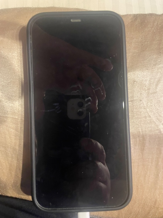 iPhone 12 Pro Max 128GB docomo（スマホ）の商品画像 - 査定依頼日：2026年5月17日 - 最高査定価格：41,000円