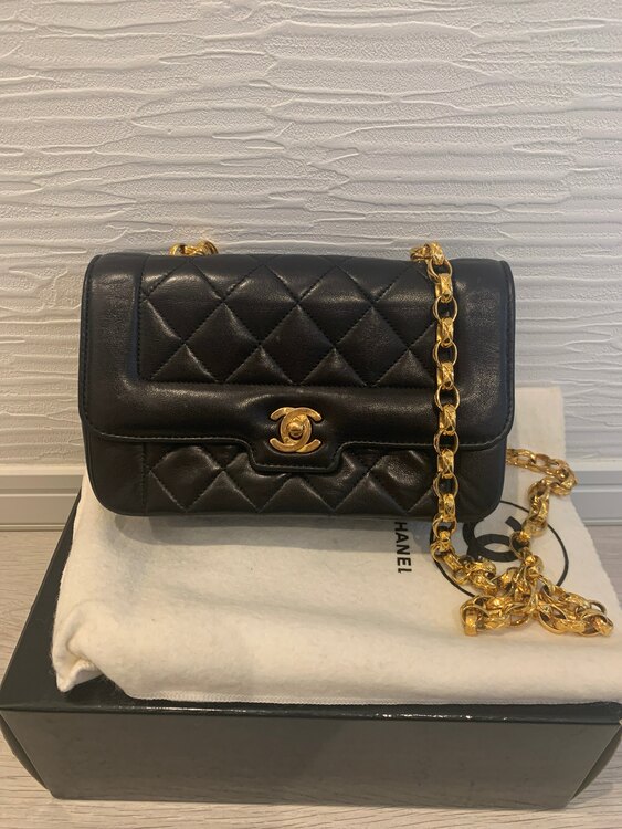 シャネル シャネル(その他) （ブランドバッグ）の商品画像 - 査定依頼日：2025年3月8日 - 最高査定価格：380,000円