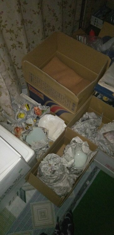 ノーブランドの和食器と洋食器と漆器（食器）の商品画像 - 査定依頼日：2025年12月14日 - 最高査定価格：10,000円