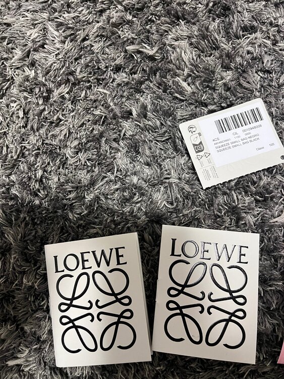 ロエベ  スクイーズ（ブランドバッグ）の商品画像 - 査定依頼日：2024年12月30日 - 最高査定価格：310,000円