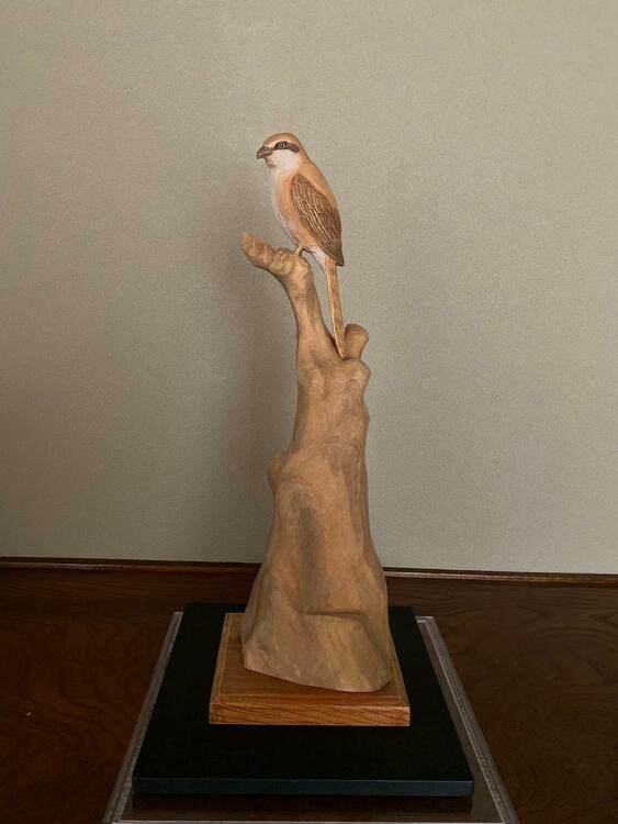 島田恭宏 作 木彫「百舌（もず）」 木彫彫刻 鳥 美術品 置物（美術品・骨董品）の商品画像 - 査定依頼日：2026年7月19日 - 最高査定価格：3,000円