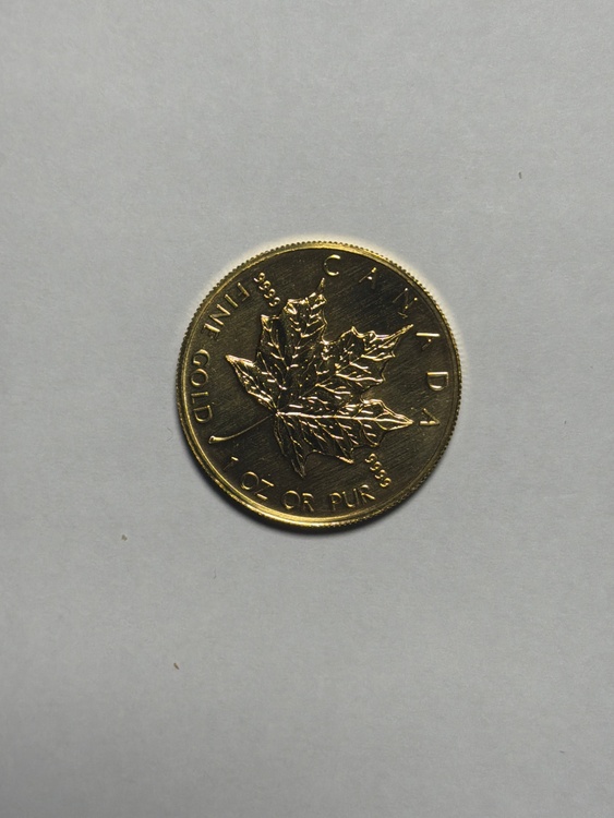 カナダ（金・貴金属）の商品画像 - 査定依頼日：2026年3月22日 - 最高査定価格：70,450円