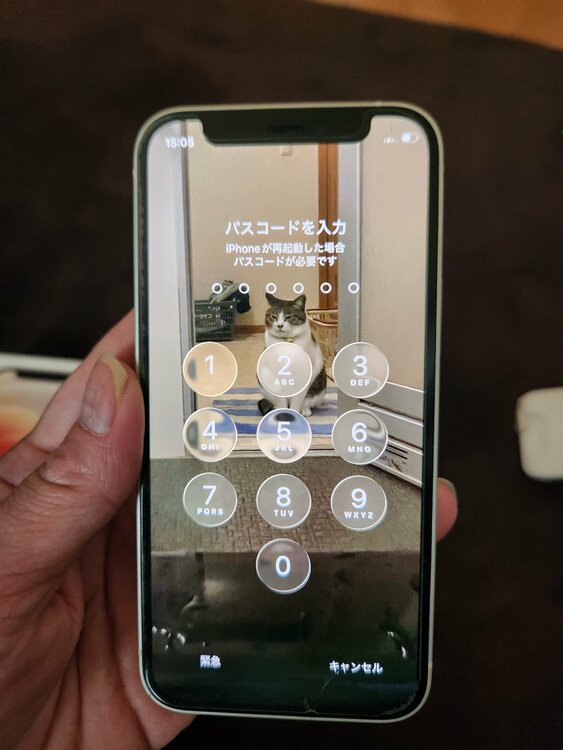 iPhone12ミニ（スマホ）の商品画像 - 査定依頼日：2026年7月11日 - 最高査定価格：100,000円