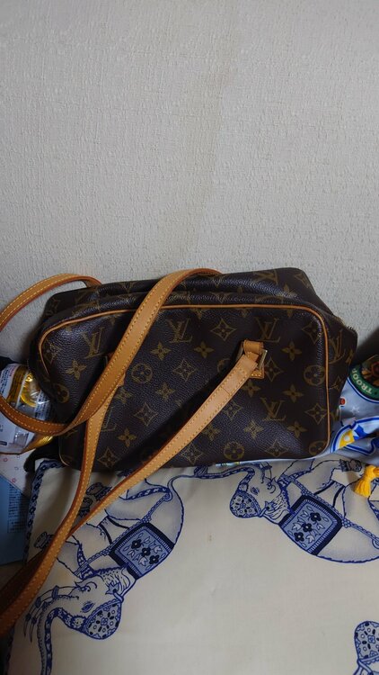 ルイヴィトン ルイヴィトン(その他) （ブランドバッグ）の商品画像 - 査定依頼日：2026年3月20日 - 最高査定価格：255,000円