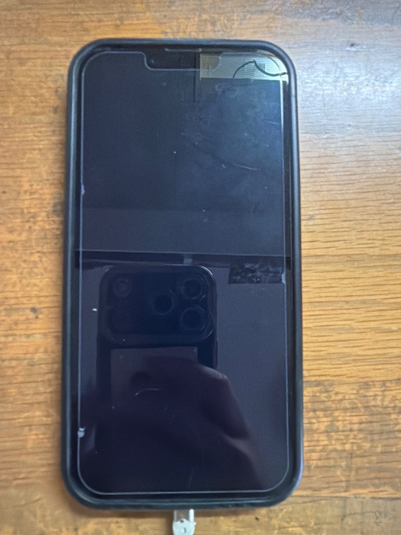 iPhone iPhone 13 256GB SIMフリー（スマホ）の商品画像 - 査定依頼日：2026年9月7日 - 最高査定価格：32,000円