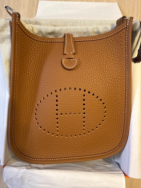 エブリンTPM（ブランドバッグ）の商品画像 - 査定依頼日：2026年4月19日 - 最高査定価格：400,000円