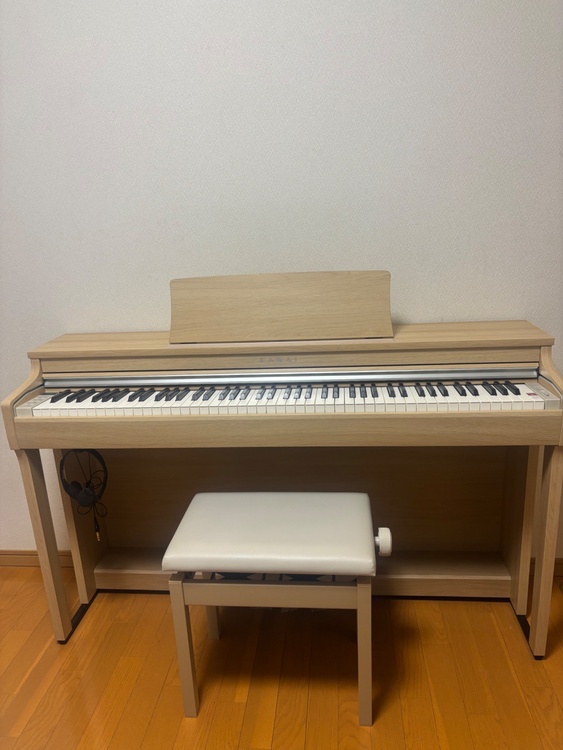 CN27 LO（ピアノ・楽器・PA機材）の商品画像 - 査定依頼日：2026年2月28日 - 最高査定価格：5,000円