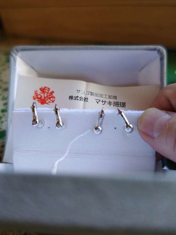 イヤリング（宝石）の商品画像 - 査定依頼日：2023年10月30日 - 最高査定価格：10,000円