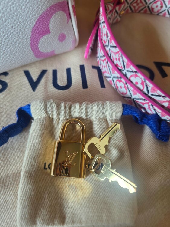 ルイヴィトン スピーディー （ブランドバッグ）の商品画像 - 査定依頼日：2026年3月25日 - 最高査定価格：250,000円