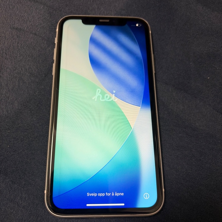 iPhone iPhone11 128GB SIMフリー（スマホ）の商品画像 - 査定依頼日：2026年6月11日 - 最高査定価格：21,000円