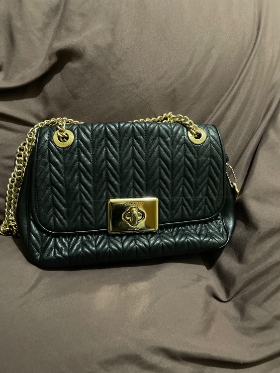 コーチ（ブランドバッグ）の商品画像 - 査定依頼日：2026年4月4日 - 最高査定価格：10,000円