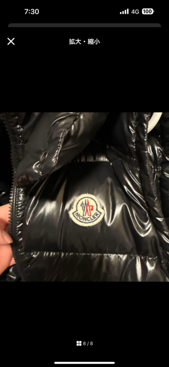 ダウンベスト（古着・ファッション）の商品画像 - 査定依頼日：2026年1月5日 - 最高査定価格：45,000円