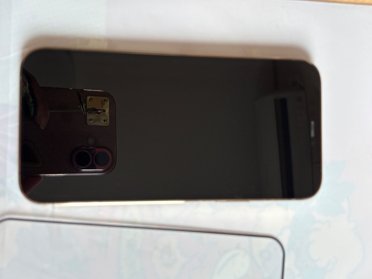 iPhone 12 Pro 256GB au（スマホ）の商品画像 - 査定依頼日：2026年2月24日 - 最高査定価格：35,000円