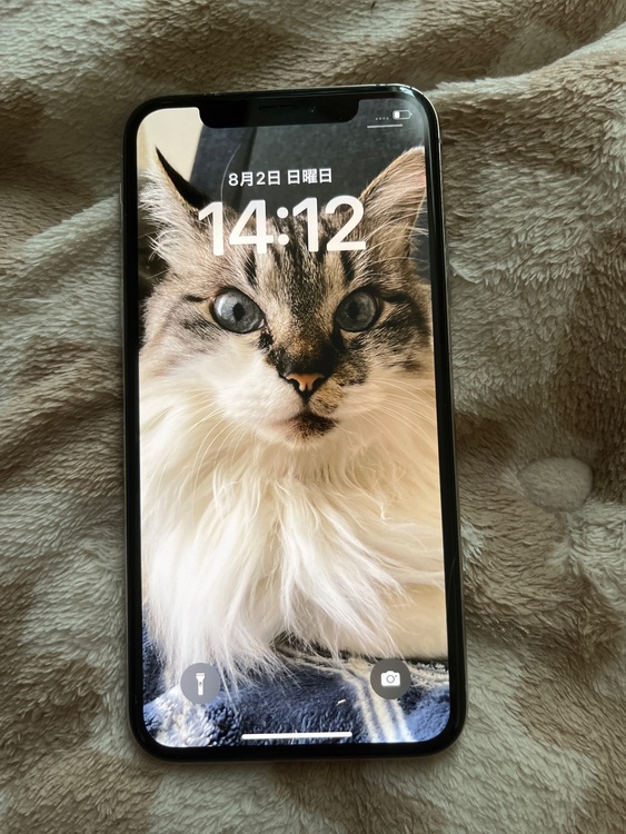 iPhoneＸ 64（スマホ）の商品画像 - 査定依頼日：2026年8月2日 - 最高査定価格：100,000円