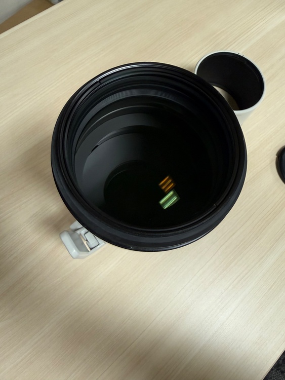 SEL200600G（カメラ）の商品画像 - 査定依頼日：2026年7月16日 - 最高査定価格：100,000円