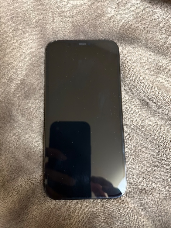 iPhone 12 Pro Max 128GB docomo（スマホ）の商品画像 - 査定依頼日：2026年3月4日 - 最高査定価格：38,000円