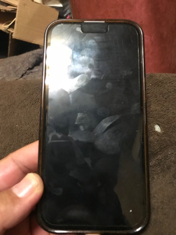 iPhone iPhone 15 256GB Softbank（スマホ）の商品画像 - 査定依頼日：2026年9月20日 - 最高査定価格：75,000円