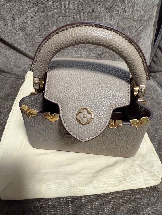 カプシーヌMINI（ブランドバッグ）の商品画像 - 査定依頼日：2025年6月8日 - 最高査定価格：400,000円