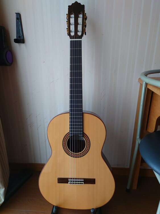 フラメンコギターパコカスティージョ215FR（ピアノ・楽器・PA機材）の商品画像 - 査定依頼日：2025年12月6日 - 最高査定価格：150,000円