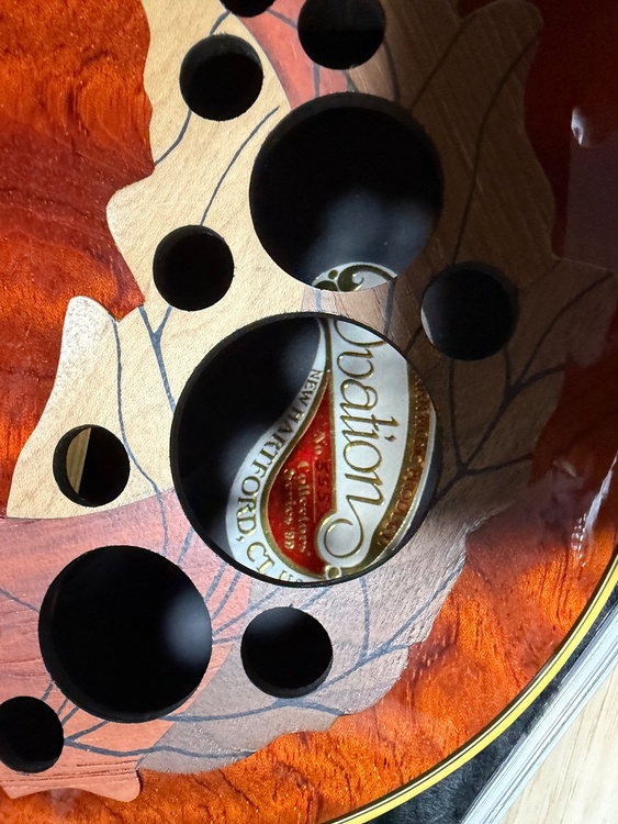 OVATION 1999 COLLECTORS EDITION（ピアノ・楽器・PA機材）の商品画像 - 査定依頼日：2026年9月6日 - 最高査定価格：100,000円