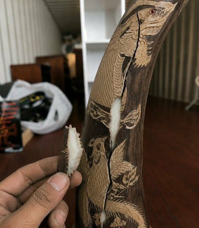 象牙（美術品・骨董品）の商品画像 - 査定依頼日：2026年8月24日 - 最高査定価格：1,000円