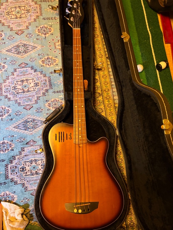 Godin model A4（ピアノ・楽器・PA機材）の商品画像 - 査定依頼日：2026年10月2日 - 最高査定価格：45,000円